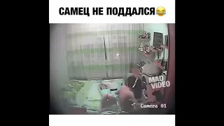 Как бы не старалась😂😆 (Лучшие ПРИКОЛЫ 2018 | Треш | +18)