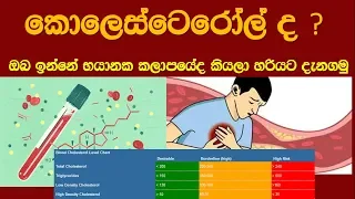 Blood Cholesterol Levels - Health Tips - Sl Notes