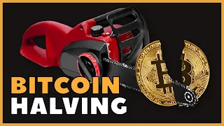 Bitcoin Halving Explained | How does it Influence the Market? | Animation | Cryptomatics