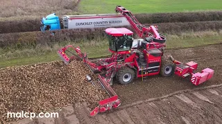 Holmer Exxact Terra Felis 3 sugar beet loader in Rendlesham, Suffolk