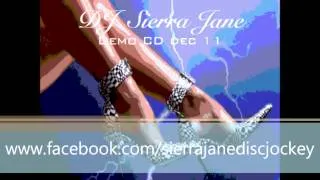 DJ Sierra Jane - 2011 Mixtape (Explicit)