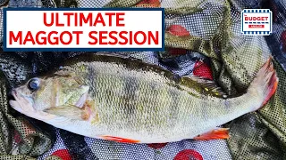 Canal Fishing with Maggots - River Lea Navigation