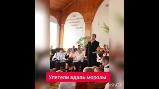 Улетели вдаль морозы