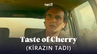 Taste of Cherry (Kirazın Tadı) | Fragman