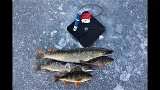 Первый лёд 2017-2018. Рыбалка на жерлицы. Ловля щуки окуня по первому льду.