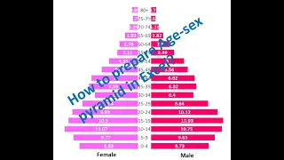 How to prepare the age Sex Pyramid or Population pyramid in excel?