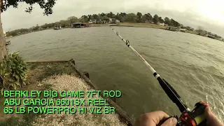 Berkley Big Game Rod Catches BLUE CATFISH