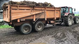 CLEANING COWS STABLE - FARM TIMELAPSE- ITALY