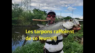 3 Tarpons en 3 lancers au Dolive stick OSP!