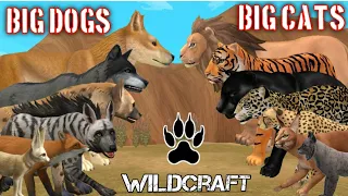 wildcraft all Normal Animal NO Boss how much big cats in game and how many animals😮😮😮😮