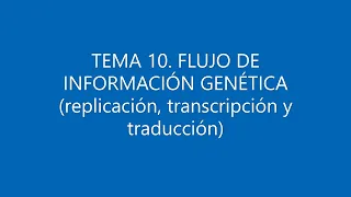 BIOLOGÍA SELECTIVIDAD. FLUJO DE INFORMACIÓN GENÉTICA (replicación, transcripción y traducción)