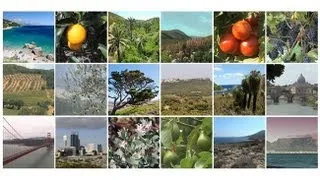 Lands of Two Seasons: The World's Mediterranean-Climate Ecosystems