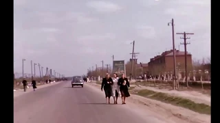 Москва, 1954 г. Дорога по Каширскому шоссе, Царицыно дворец и парк, много гуляющих, воскресный день