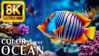 Colors Of The Ocean 8K Video ULTRA HD   The best sea animals for relaxing and soothing music #28