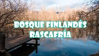 RUTA por el BOSQUE FINLANDÉS en RASCAFRÍA【DRON 4K】| MADRID | SeguirViajando