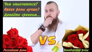 ЧЕМ ОТЛИЧАЮТСЯ РОЗЫ? | СРАВНЕНИЕ РОЗ | Эквадорские розы | Российские розы | Кенийские розы