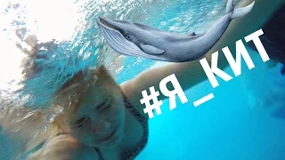 Синий Кит 🐳 разбуди меня в 04:20  || Я в игре. Поговорим о суициде