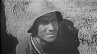 Учебные фильмы Вермахта Lehrfilme Wehrmacht 1943 1944