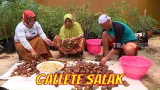 GALLETE SALAK | JEJAK SI GUNDUL (15/03/21) Part 1