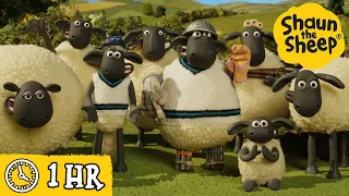 Shaun the Sheep 🐑 Who Is Interrupting The Cricket Match? & MORE 🏏 Full Episodes Compilation