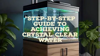 Step-by-step guide to achieving crystal clear water#viral #fishtank#aquarium  #subscribetomychannel