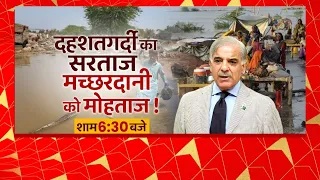 LIVE : दशहतगर्दी का सरताज....मच्छरदानी को मोहताज ! | Pakistan FLOODS Crisis | तैयारी 2024 Abp news