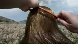 Hair Brushing ASMR TEST (No Talking) 18