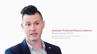 The role of astrocytes in Alzheimer's disease | Professor Shane Liddelow