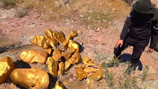 Gold Mining! I Pulled Out One By One Huge Nuggets of Gold...