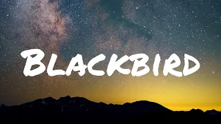 Blackbird (Lyrics) - Paul McCartney / The Beatles