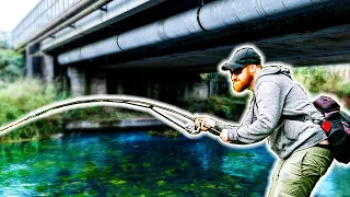 Catching BIG Fish in a Clear Urban River! (epic bites)