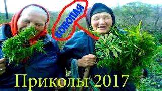 Приколы в Россия 2017 ноябрь Это Россия детка!!!