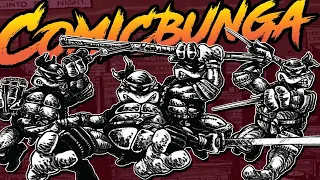 The Hardcore Origin of the Ninja Turtles