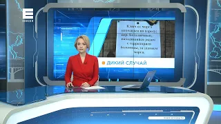 Новости Енисей от 15 ноября 2021