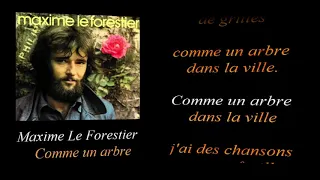 Maxime Le Forestier   Comme un arbre