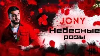 JONY - Небесные розы (Remix)