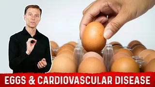 Eggs Increase Risk of Heart Disease: New Study Says...Really?