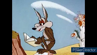 Wile E. Coyote: Sauer Roadrunner Braten Like Mom Used to Make