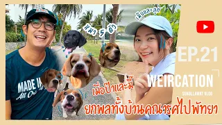 WEIRCATION EP.21"เมื่อป๊าและมี๊ยกพลทั้งบ้านคณารศไปพัทยา"