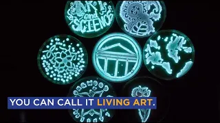 Bioluminescent Art | Longwood University