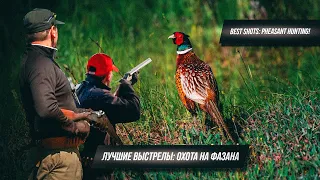 Лучшие выстрелы: охота на фазана и рецепт грудок с апельсиновым соусом! Best shots:pheasant hunting!