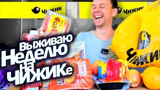 Выживаю НЕДЕЛЮ на ЧИЖИКЕ 😲 КОНЕЦ СВЕТОФОРУ