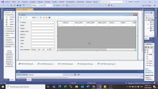 CONECTAR VISUAL BASIC 2019 CON BASE DE DATOS ACCESS 365 AUTOMATICAMENTE