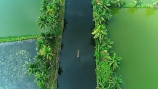 Drone Footage - Bird's Eye View Kerala Backwaters | Pallithode Alappuzha