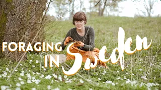 Cooking with Plants from around our Cottage