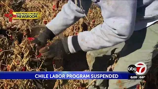 New Mexico chile labor program halted amid fight between governor, legislature