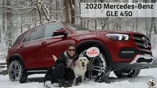 2020 Mercedes-Benz GLE 450: Andie the Lab Review! #MercedesBenz #LabTested #allkindsofstrength