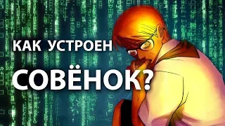 ТАЙНЫ СОВЁНКА | Метафизика Бесконечного Лета (Теории)