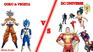 Goku And Vegeta Vs Dc Universe | How Many Characters They Can Beat In Dc |Explained In Hindi|