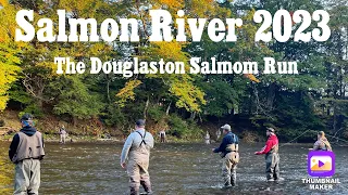 Salmon River 2023: The Douglaston Salmon Run